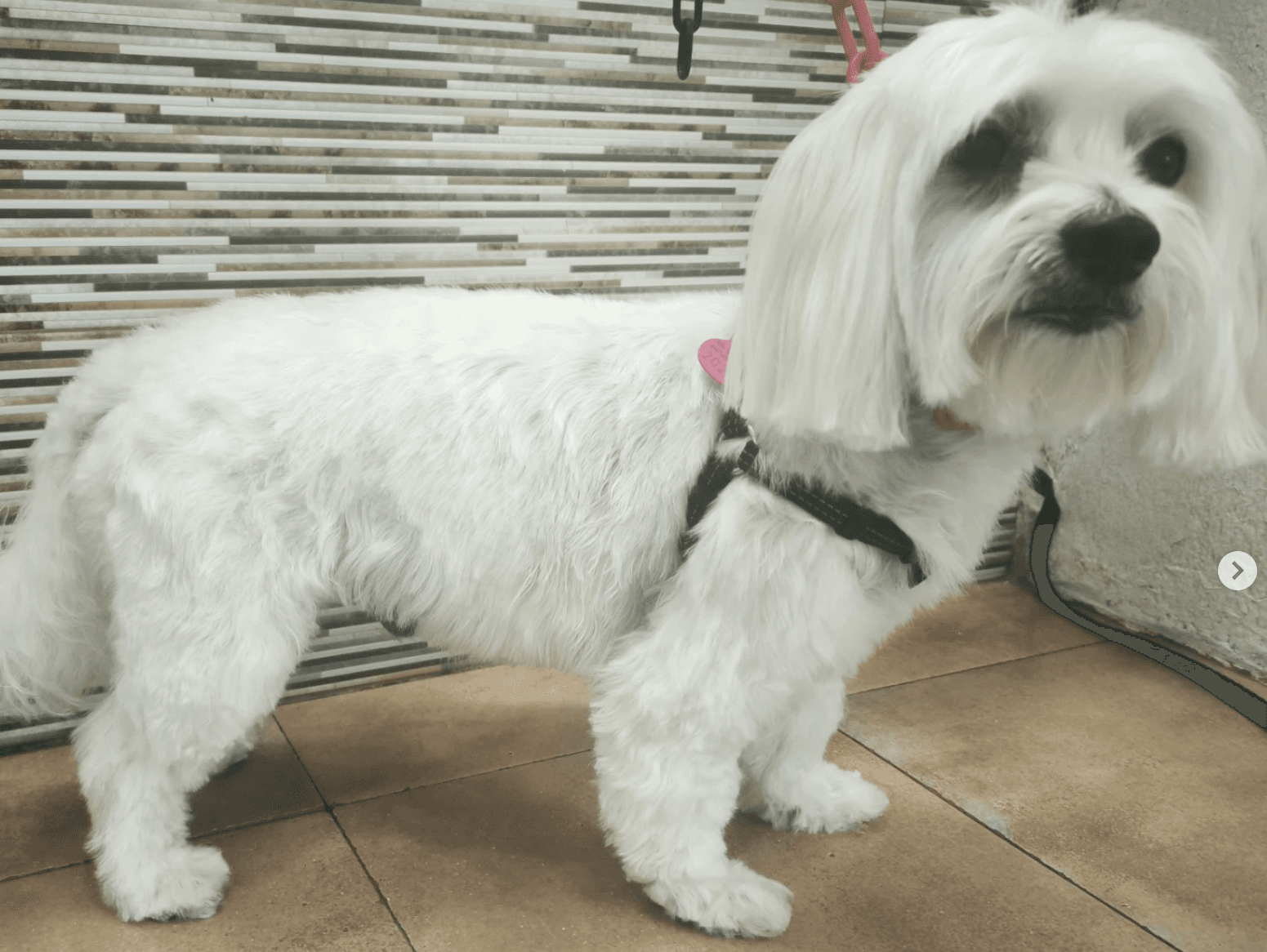 Imagen 2 del después